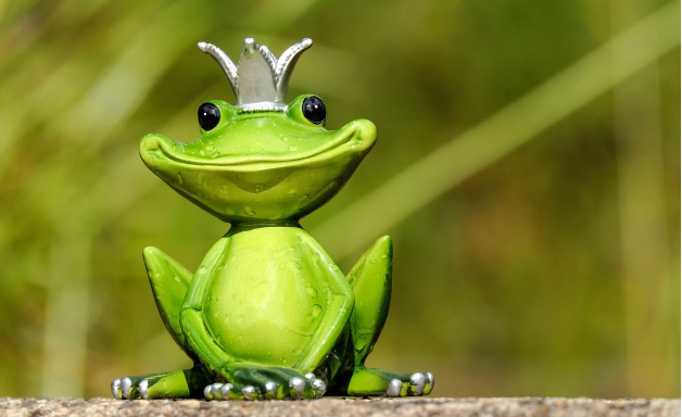 Mơ thấy ếch theo theo khoa học có ý nghĩa như thế nào?